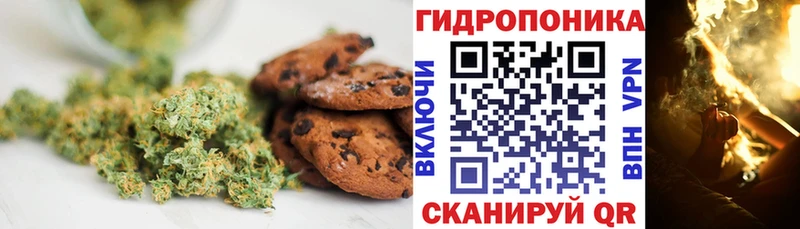 магазин наркотиков Ногинск Печенье с ТГК марихуана