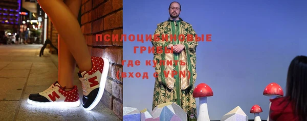 стаф Белокуриха