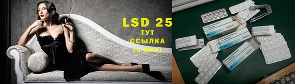 стаф Белокуриха