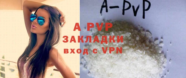 стаф Белокуриха