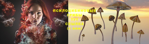 дмт Беломорск