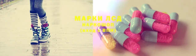 стаф Белокуриха