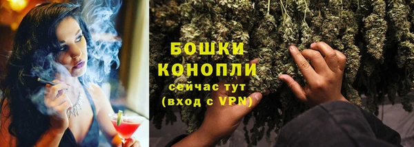 стаф Белокуриха
