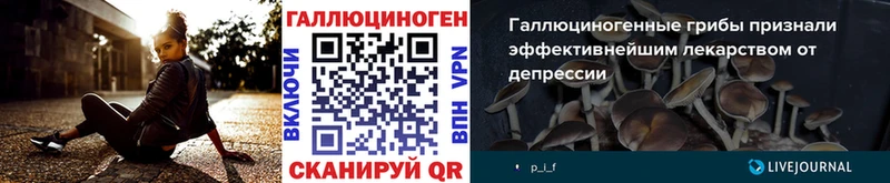 ОМГ ОМГ онион  дарнет шоп  Ногинск  Псилоцибиновые грибы MAGIC MUSHROOMS 
